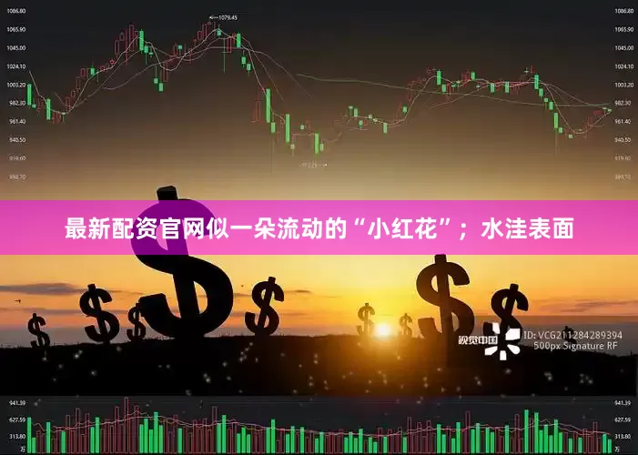 最新配资官网似一朵流动的“小红花”；水洼表面
